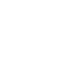 apple icon